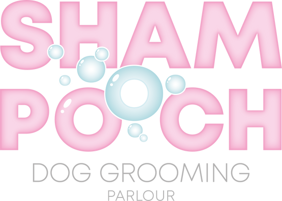 Dog groomer pet groomer Saltash Cornwall pet service Shampooch Dog Grooming Parlour 